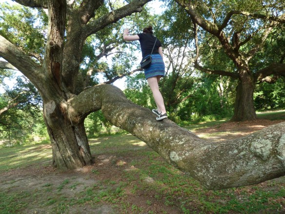 Climbing Trees in Audubon Park